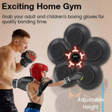 Professional Music Boxing Machine Manufacturer