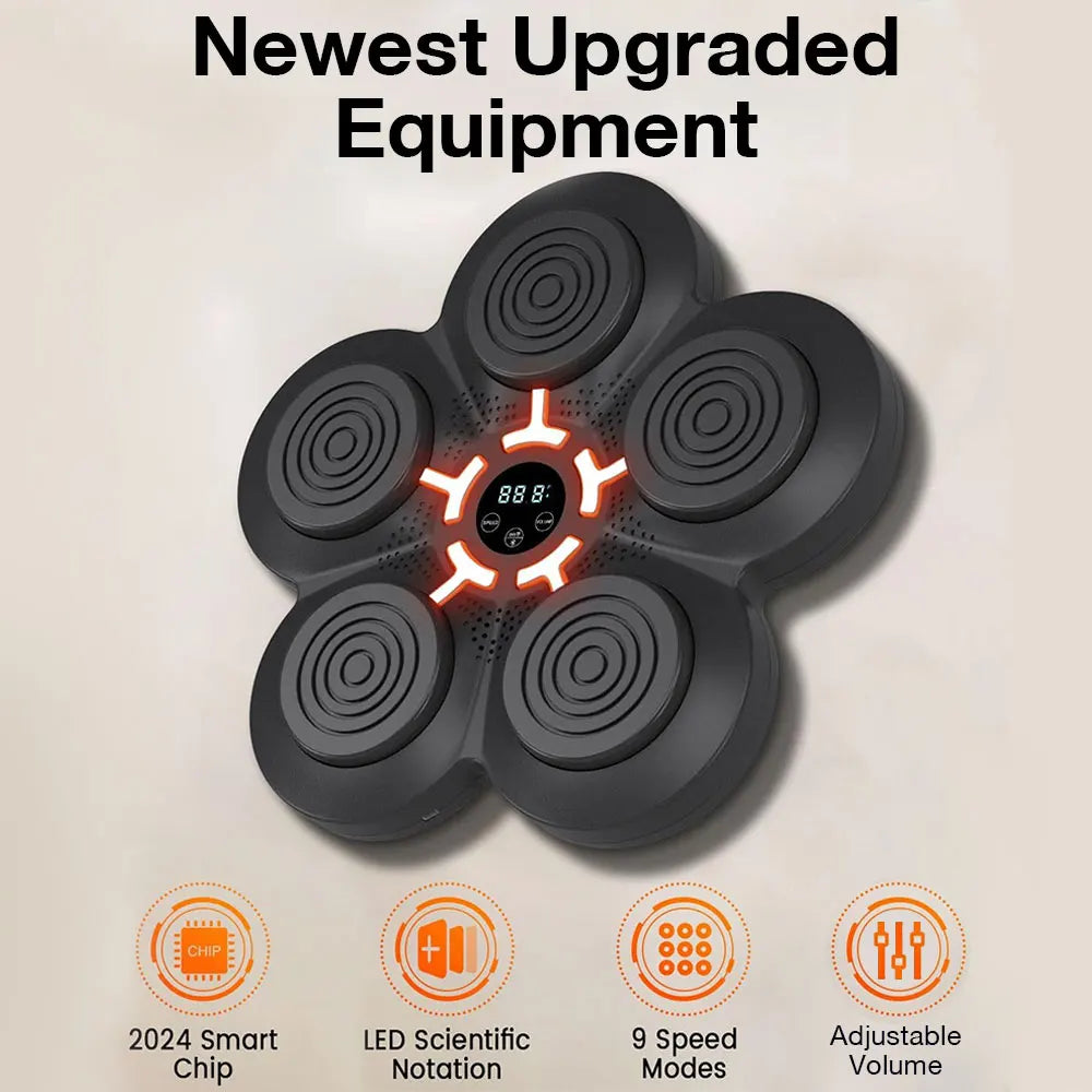 Professional Music Boxing Machine Manufacturer