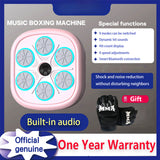 Professional Music Boxing Machine